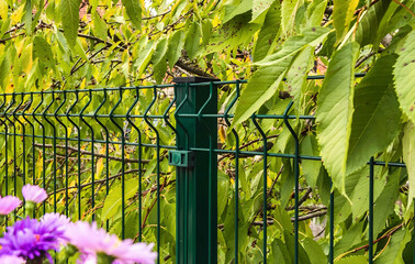 grating wire industrial fence panels. Panel fence 