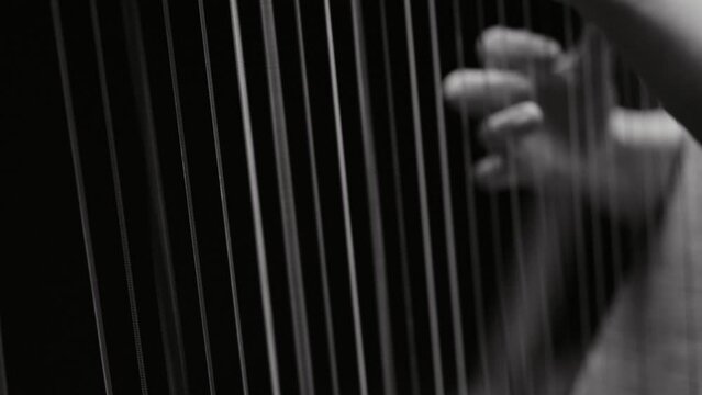Harp PlayWoman Playing Harp in Black and White and Slow Motioner in Black and White