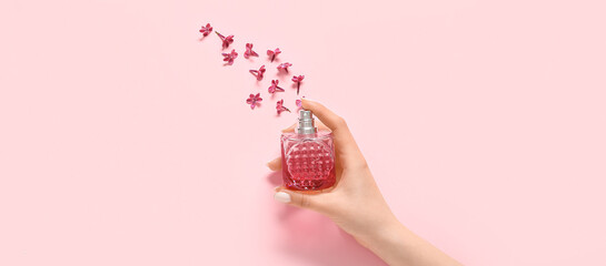 Female hand with bottle of perfume and lilac flowers on pink background, top view