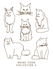 Maine Coon Cat Illustrations Outlines! Collection 3
