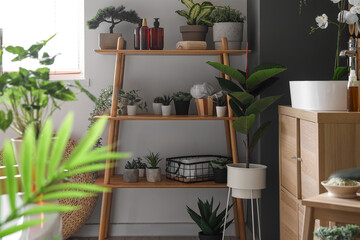 Shelving unit with green houseplants and bath accessories in room