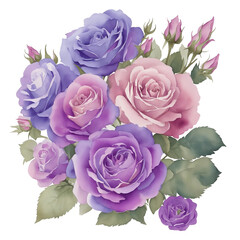 Violet rosese watercolor