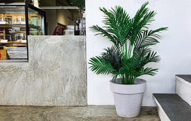 Green tropical plam tree pot indoor decorate interior indoor home, modern houseplant bush flowerpot design