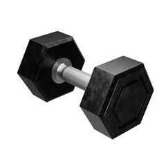 Black dumbbell  isolated on white background.  Exercise concept. 3d illustration.