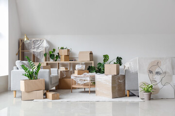 Cardboard boxes with sofas and houseplants in living room on moving day