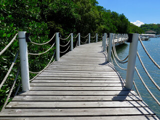 Fototapeta premium Wooden bridge in the forest. Pier. Wooden bridge in the park. A wooden bridge with a rope railing leads to the sea along dense trees.