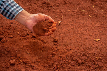 Soil held in his hands, the farmer nurtures the potential for a bountiful harvest.