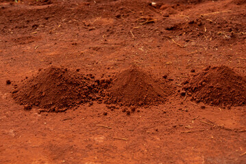 Mound of soil rises like a gentle earthy hill, a foundation for growth and life.