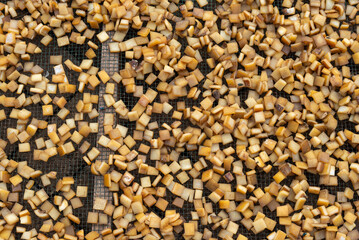 slaughtered animal skins dried under the hot sun to be used as food for 