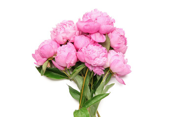 Bouquet of pink peony flowers on white background