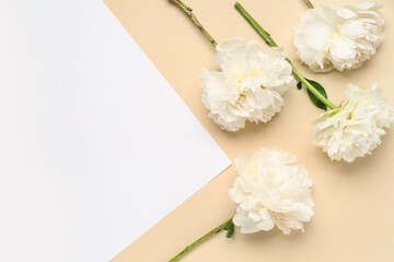 Composition with white peony flowers on color background