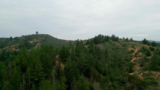 Curauma drone shot Valparaiso Chile forest