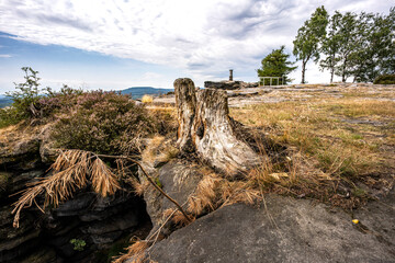 Auf dem Großen Zschirnstein, Tafelberg in der Sächsischen Schweiz 7