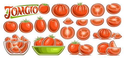 Vector Red Tomato Set, collection of cut out cartoon design vegetarian still life compositions with green leaves, raw juicy oval tomatoes in glass dish, set of various healthy veggies and text tomato