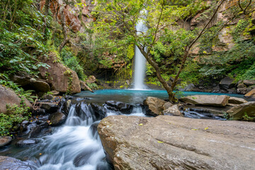 Catarata La Cangreja - Hidden waterfall surrounded by green trees, vegetation, rocks, leaves floating on green and clear water, Rincon de la Vieja National Park, Costa Rica Wilderness