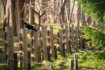 A view of Hokkaido University in Sapporo, Hokkaido, Japan.