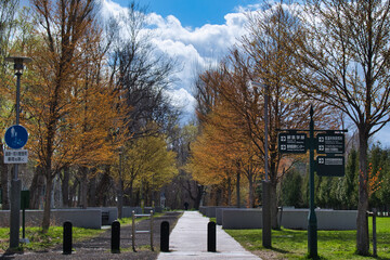A view of Hokkaido University in Sapporo, Hokkaido, Japan.