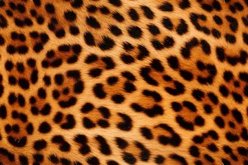 Poster Beautiful seamless pattern with leopard or jaguar fur skin, wild nature endless texture rapport template. © Sunny_nsk
