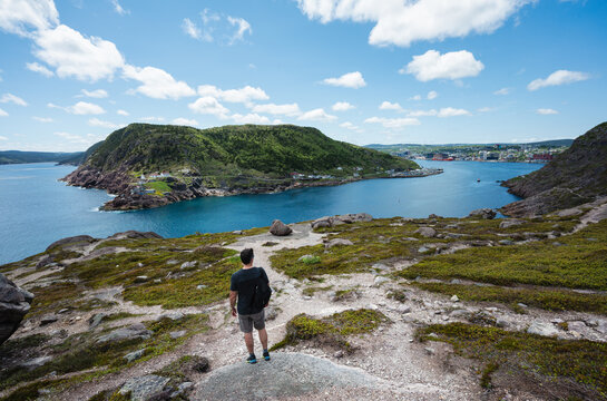 Man standing on trail overlooking harbour of  St. John's, Nfld.