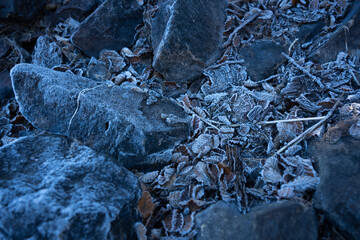 Rocks and lenga tree leafs at a frozen morning in Baguilt Lake