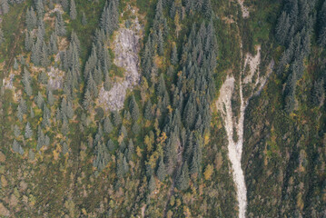 Alaskan Forest Ariel View in Sitka Alaska