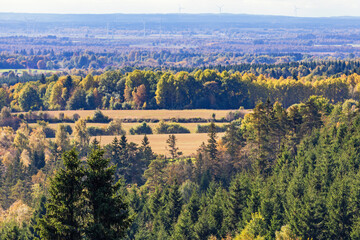 Landscape view with fields and forest in autumn