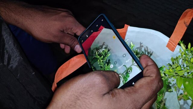 A man captures a jasmine sapling gift package at night with a mobile camera