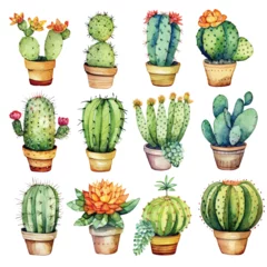 Foto op Plexiglas Cactus in pot Watercolor set of cacti and succulent plants isolated on white background. Flower illustration for your projects, greeting cards and invitations.