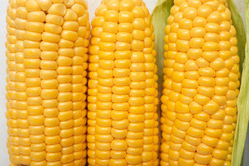 Closeup view of fresh corn cobs as background