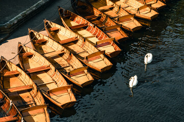 The view of swans and parking boats on the River Wear in Durham in a sunny afternoon