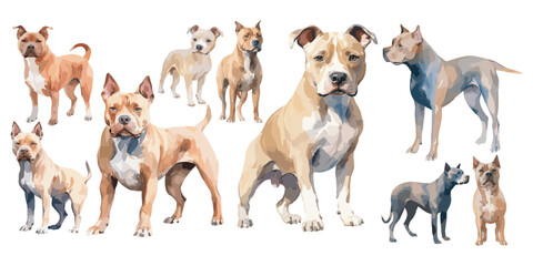 watercolor Pitbull clipart for graphic resources