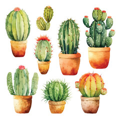 Watercolor set of cacti and succulent plants isolated on white background. Flower illustration for your projects, greeting cards and invitations.