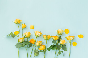 yellow roses on green paper background