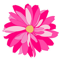 Pink flower. Floral graphic design element. Vector illustration. 