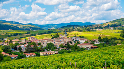 Fototapeta premium Vineyard and village in France