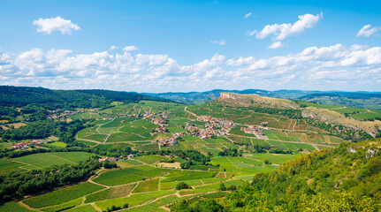 Panoramic view of green vineyard in Beaujolais- Burgundy region, France