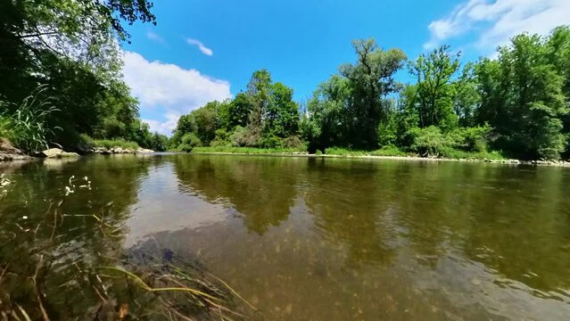 idylischer Fluss Libellen, B&auml;ume, blauer Himmel, 4k