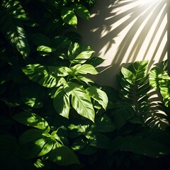Natural Elegance: A Visual Symphony of Light, Shadows, and Patterns, leaves in the sun