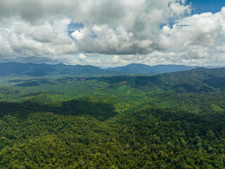 Obraz premium Mountain slopes covered with rainforest and jungle. View of the valley in the mountain province. Borneo, Malaysia.