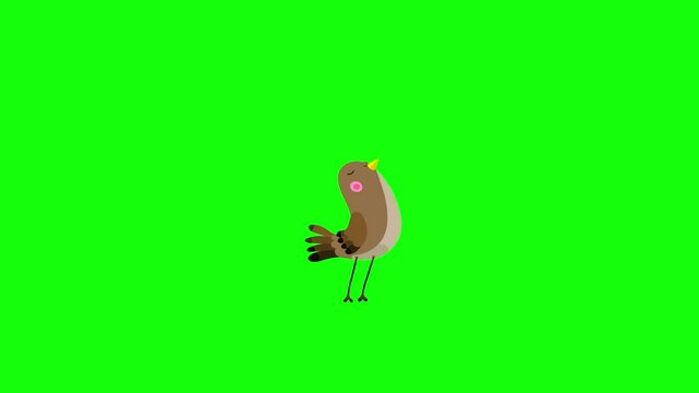 Nightingale bird cartoon animation character singing green screen. Blinking eyes opening bill seamless loop behaviour.