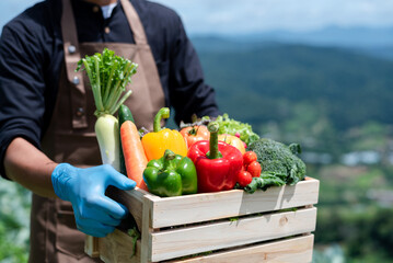 Crate filled with a large selection of healthy fresh organic fruits and vegetables shot.