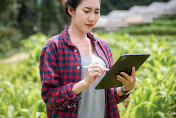 Fototapeta premium Concept of smart farmer using tablet computer in the field garden with sunset light, the application of modern technology in agricultural cultivation activities.