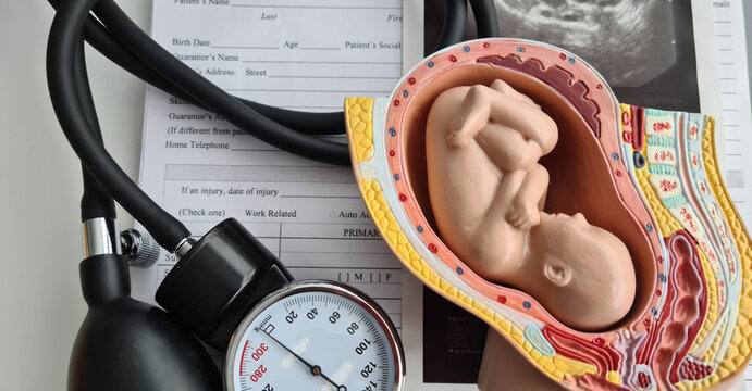 Model of uterus with fetus of tonometer with ultrasound on table