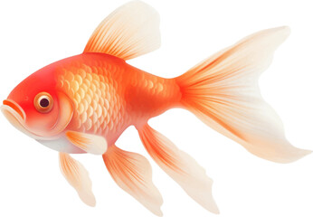 Fototapeta premium goldfish figure body style white background. 