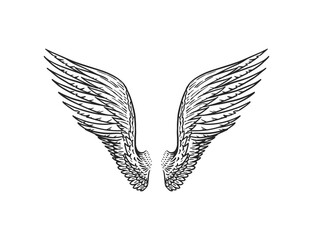 Set of Angel wings in vintage style. Template for tattoo and emblems, t-shirts and logo. Emblem for stickers. Engraved sketch. Vector illustration.