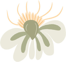 Hand drawn Abstract Flower Illustration