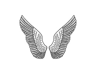 Set of Angel wings in vintage style. Template for tattoo and emblems, t-shirts and logo. Emblem for stickers. Engraved sketch. Vector illustration.