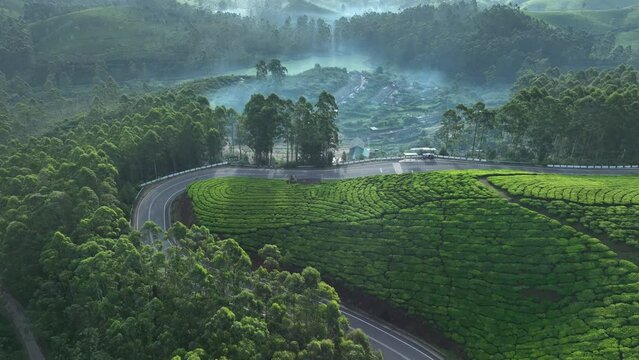 Hill station Munnar Tea estate Road Munnar Kerala India 