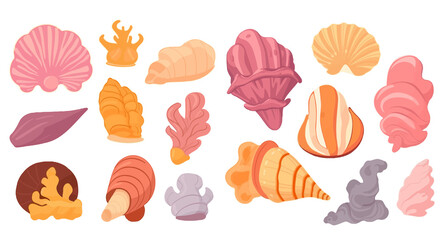 Various seashells aquatic characters set, marine life plants cartoon vector Illustration