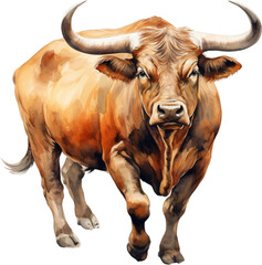 bull on a white background